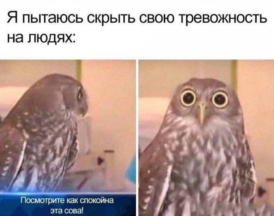 мем 3